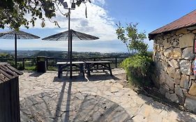 Hotel Selwo Lodge - Animal Park Tickets Included
