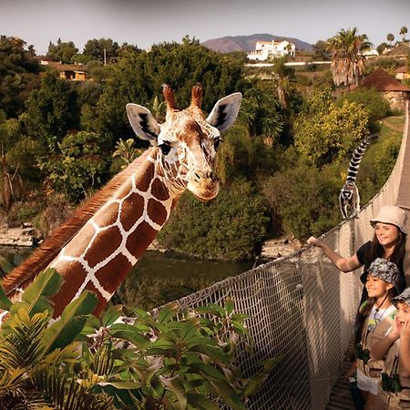 Hotel Selwo Lodge - Animal Park Tickets Included Estepona Eksteriør billede