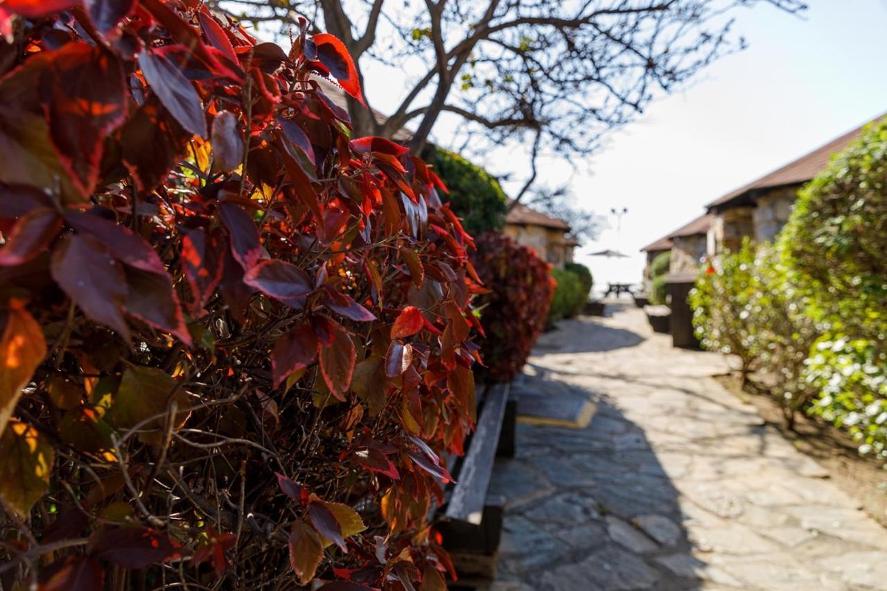 Hotel Selwo Lodge - Animal Park Tickets Included Estepona Eksteriør billede