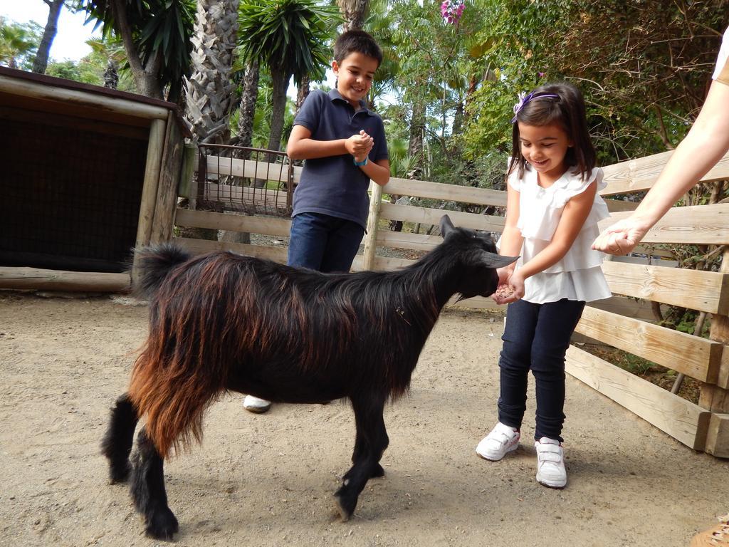 Hotel Selwo Lodge - Animal Park Tickets Included Estepona Eksteriør billede